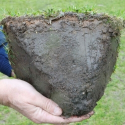 8 Clay Soil Profiles