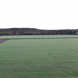 Excellent grass strike on new pitches after 2 weeks