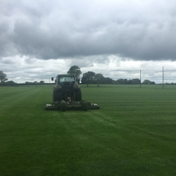 13 Ongoing mowing